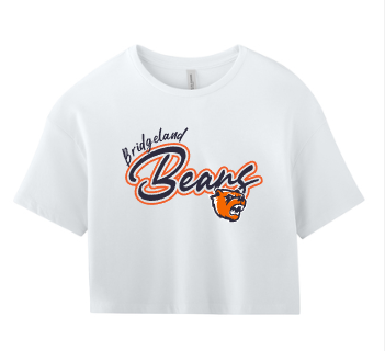 Bridgeland bears curved
