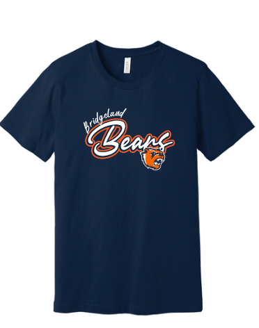 Bridgeland bears curved