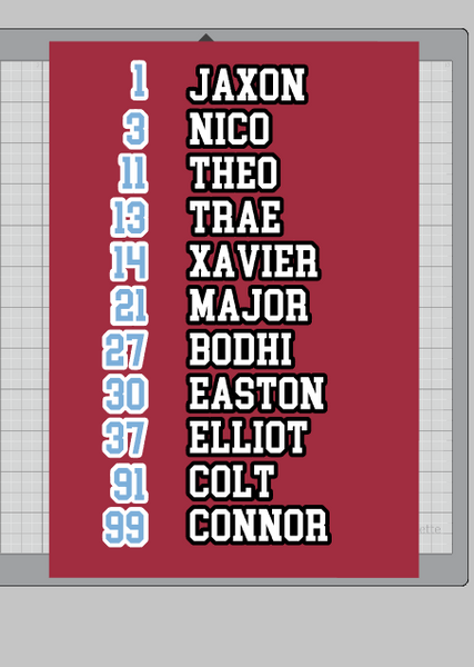 Wildcats Roster shirt on red